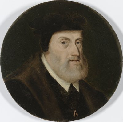 Portret Karola V, ok. 1550 (olej na desce) autorstwa Unknown artist