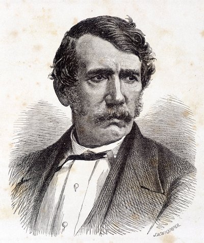 Portret Davida Livingstone