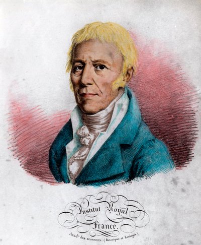 Portret Jeana Baptiste Lamarcka (1744-1829), francuskiego przyrodnika. Rycina XIX wieku. Prywatna kolekcja. autorstwa Unknown artist