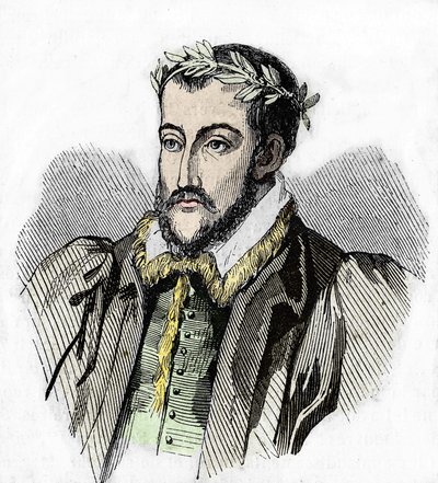 Portret Joachima du Bellaya. poeta francuski (Château du Liré, Maine-et-Loire autorstwa Unknown artist
