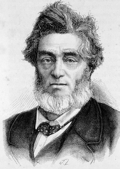 Portret Julesa Favre
