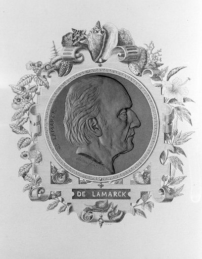 Portret Lamarcka (1744 - 1829). autorstwa Unknown artist