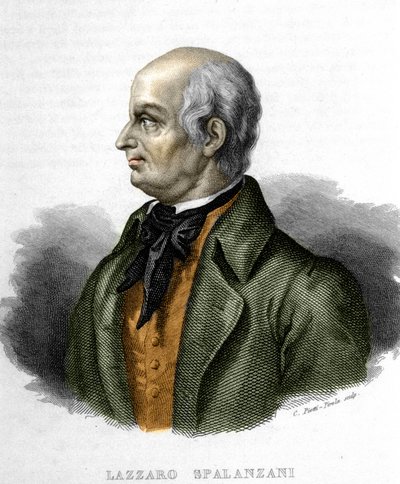 Portret Lazzaro Spalanzaniego (lub Spallanzani), włoskiego biologa (1729 - 1799) autorstwa Unknown artist