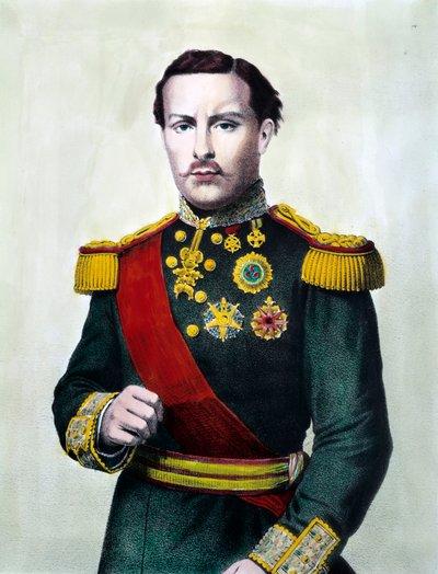 Portret Ludwika I Portugalii (1838-1889) Król Portugalii Rycina z XIX wieku Kolekcja prywatna autorstwa Unknown artist