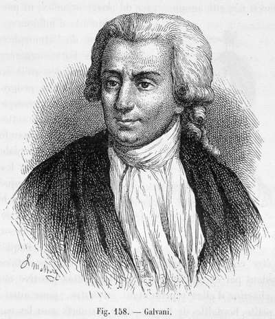 Portret Luigiego Galvaniego, włoskiego lekarza i fizyka (1737 - 1798) - w „Magnetyzmie i elektryczności” Amédée Guillemin autorstwa Unknown artist