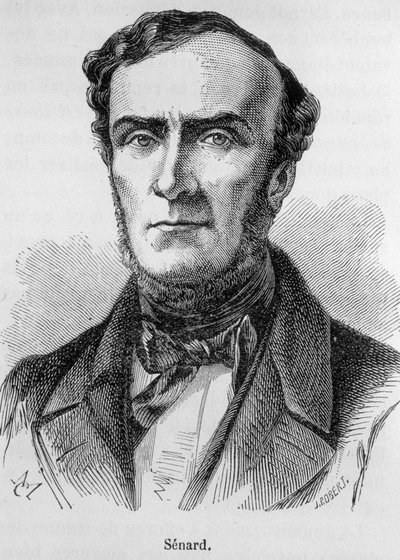 Portret Marie Antoine Jules Senard, członkini palestry paryskiej, byłej przewodniczącej Zgromadzenia Narodowego i byłego ministra spraw wewnętrznych. Bronił Gustave
