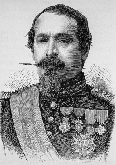 Portret Napoleona III (1808 - 1873). Rycina z końca XIX wieku w „Histoire de France” H. Martina. autorstwa Unknown artist