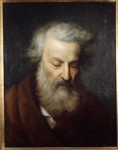 Portret Nicco 