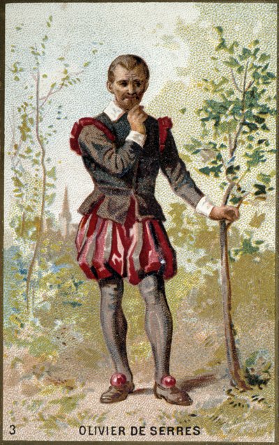 Portret Oliviera de Serres (1539-1619), francuskiego agronoma. XIX-wieczna chromolitografia. autorstwa Unknown artist