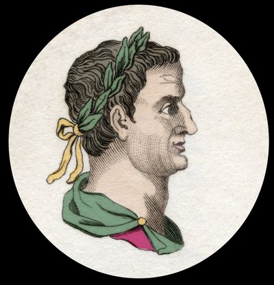 Portret Serviusa Sulpiciusa Galby (3 pne-69 ne), cesarza rzymskiego. Grawerowanie z XIX wieku autorstwa Unknown artist