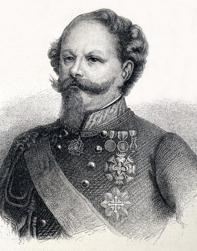 Portret Wiktora Emanuela II Sabaudzkiego (Victor-Emmanuel), po włosku Vittorio Emanuele II Sabaudzkiego autorstwa Unknown artist