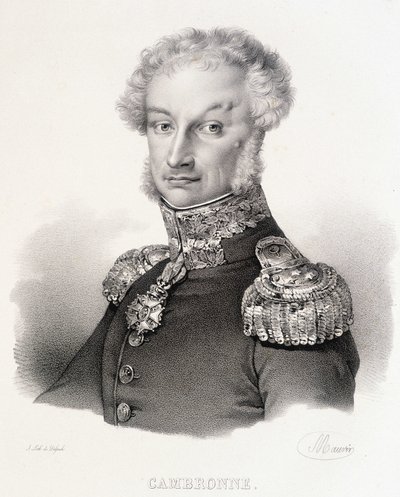 Portret wicehrabiego Pierre
