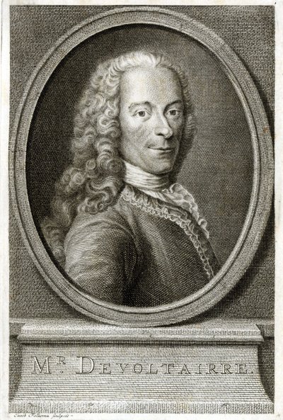 Portret Woltera. Grawerowanie z XIX wieku. autorstwa Unknown artist