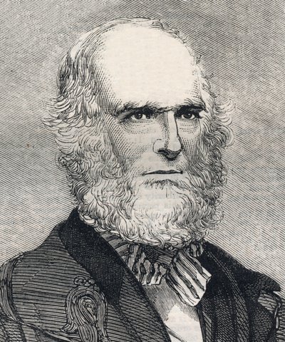 Portret Williama Cullena Bryanta (1794-1878), amerykańskiego poety. Grawerowanie w „Ilustrowanych wiadomościach londyńskich” z 23 stycznia 1858 r. autorstwa Unknown artist