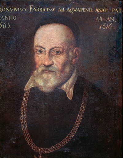 Portret pionierskiego anatoma i chirurga Hieronymusa Fabriciusa (malarstwo autorstwa Unknown artist