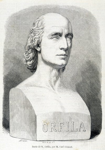 Portret francuskiego lekarza i chemika Orfili (1787 - 1853). autorstwa Unknown artist