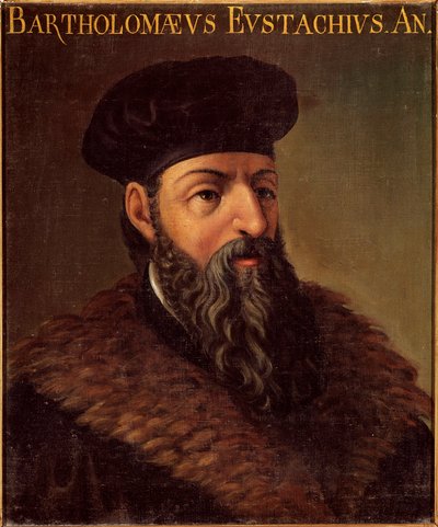 Portret włoskiego anatoma i lekarza Bartolomeo Eustachiego (Barthelemy Eustache) (1505-1574) Malarstwo anonimowe. Padwa z XVI wieku, Universite Italy - Portret włoskiego anatoma i lekarza Bartolomeo Eustachiego (1505-1574). Anonimowe malowanie autorstwa Unknown artist