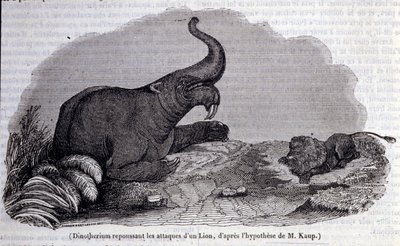 Prehistoria: przedstawienie Dinotherium, typu pachyderm, odpierającego atak lwa. Rycina XIX wieku autorstwa Unknown artist