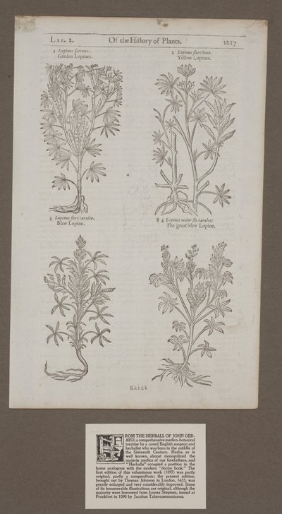 Wydrukowana strona 1217 z 
