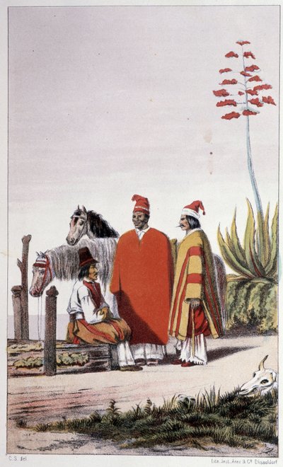 Osoby prywatne i wiejskie, Buenos Aires - w „Pierwszej żegludze szwedzkiej” Skogmana Carla Johana Alfreda, wyd. Sztokholm, Adolf Bonnier autorstwa Unknown artist