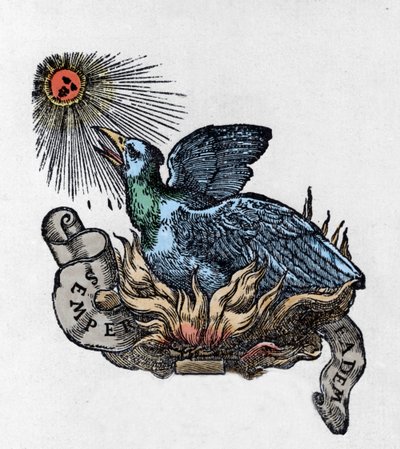Przedstawienie Feniksa (lub feniksa), legendarnego ptaka, który odrodził się ze swoich popiołów. Rycina XIX wieku autorstwa Unknown artist