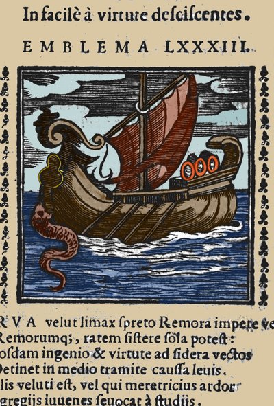 Przedstawienie remory, która według opowieści Pliniusza, św. Ambrożego i Rabelaisa zaatakowała statki, przywiązując ogon za pomocą przyssawki do skały i blokując statek pyskiem. Grawer z dzieła z XVII wieku autorstwa Unknown artist
