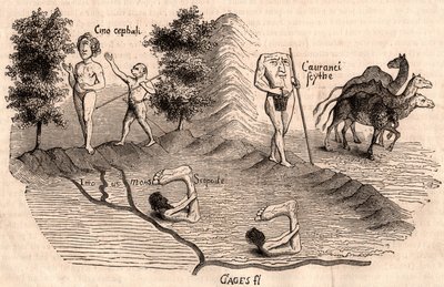 Reprezentacja średniowiecznych plemion i gatunków zwierząt: Monocules, Blemmys, Sciopodes i wielbłądy autorstwa Unknown artist