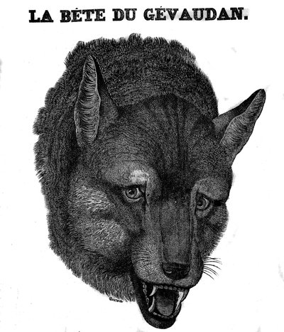 Reprezentacja Bete du Gevaudan. autorstwa Unknown artist