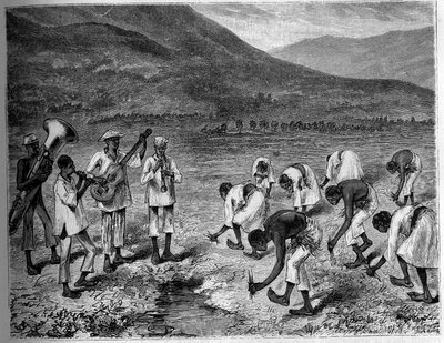 Sadzenie ryżu na Filipinach. Grawerowanie w „Dzienniku młodzieży” autorstwa Unknown artist
