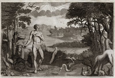 Biblia Royaumont, Stary Testament: Stworzenie mężczyzny i kobiety. Bóg, który stworzył człowieka, umieszcza go w ziemskim raju i zabrania mu spożywania owocu z drzewa poznania dobra i zła. Ilustracja z 1811 roku. autorstwa Unknown artist