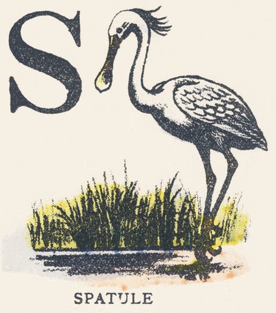 S: szpatułka autorstwa Unknown artist