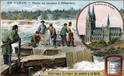 Połów łososia w Elfkarleby, Szwecja. Chromolitografia, obraz Liebiga. autorstwa Unknown artist