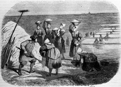 Produkcja soli: kobiety pracujące na słonych bagnach. Grawerowanie z XIX wieku autorstwa Unknown artist