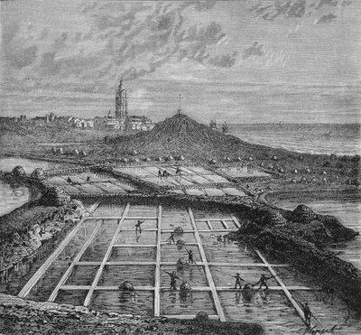 Saunierzy w słonych bagnach w Bourg de Batz, niedaleko Croizic (Bretania) w okresie Saunage. W „Cudach przemysłu” Louisa Figuiera. autorstwa Unknown artist