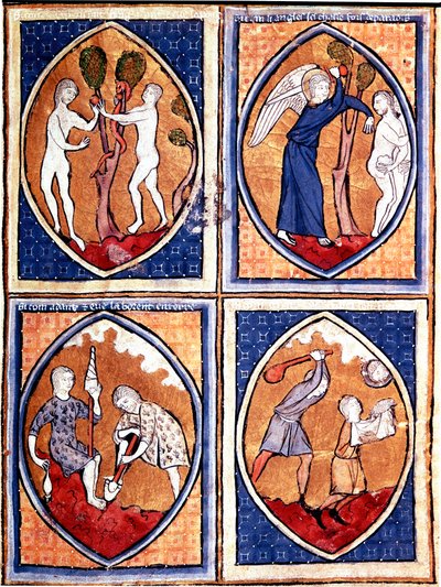 Sceny z Biblii przedstawione na mandorach. Adam i Ewa zbierają zakazany owoc, a potem polują z nieba. Tam na dole Adam uprawia ziemię, a Ewa daje wełnę, Kaina i Abla. Miniatura z XIII-wiecznego rękopisu. Porto, Biblioteka Miejska autorstwa Unknown artist