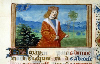 Znak Bliźniąt i Człowiek na Polu - Miniatura, Średniowiecze: Poproś o pozwolenie w Bibliotece Miejskiej Tuluzy (tel: 05 62 27 66 66) autorstwa Unknown artist