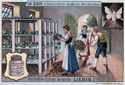 Jedwab: warsztat jedwabiu na południu Francji, reklama Liebiga, t. 1895 autorstwa Unknown artist