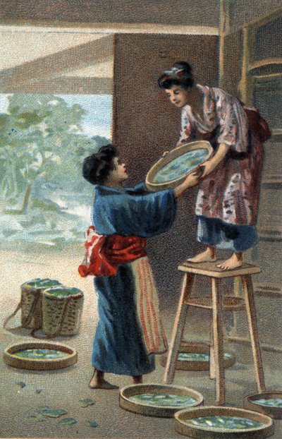 Hodowla jedwabników w japońskim magnesie. Chromolitografia z końca XIX wieku. autorstwa Unknown artist