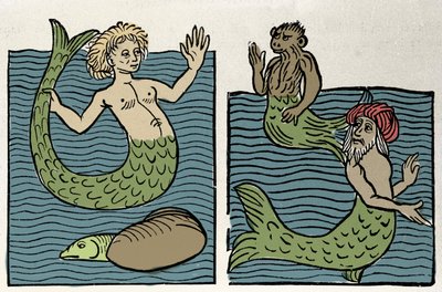 Sirene lub Virgin of the Sea, Monkey and Sea Turk. Grawer z „Hortus sanitatis”” autorstwa Unknown artist