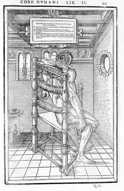 Cięcie czaszki. Plansza anatomiczna „Sekcja trzech części ludzkiego ciała...” Carlo Stefano Riverio, Paryż 1545 autorstwa Unknown artist
