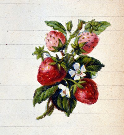 Truskawki. XIX-wieczna chromolitografia. autorstwa Unknown artist
