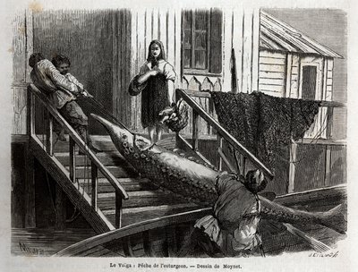 Łowienie jesiotra u ujścia Wołgi. Grawer ilustrujący podróż po Wołdze M.Moyneta w 1864 r. w „Le tour du monde, nouveau journal des voyages” wydanej pod kierunkiem Edouarda Chartona autorstwa Unknown artist
