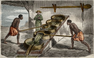 Produkcja cukru: kotły do gotowania soku z trzciny cukrowej w cukrowni w Indiach Zachodnich. Rycina z 1859 roku w "Le Musee Des Sciences" autorstwa Unknown Artist