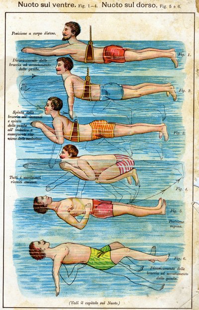 Pływanie na brzuchu - w Bilz, Leki Naturalne, koniec XIX wieku autorstwa Unknown artist