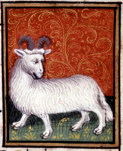 Baran. Miniatura horoskopu. Rękopis z XV wieku. Biblia Trivulziana, Mediolan. autorstwa Unknown artist