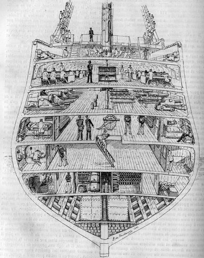 „Borda”: przekrój łodzi. Rysunek autorstwa M.L. de Saussure. Grawerowanie w „Dzienniku młodości”” autorstwa Unknown artist