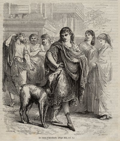 Pies Alcybiadesa - Pies męża stanu i mówcy Alcybiadesa i generała Ateńczyka, grawerowanie 450-404 pne z 1864 r. autorstwa Unknown artist
