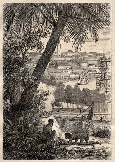 Wyprawa na Ziemie Południowe (1800-1803) Nicolasa Baudina (1754-1803): Widok na Sydney (Australia) – ilustracja z „Wielkich Marynarzy XVIII wieku”” autorstwa Unknown artist