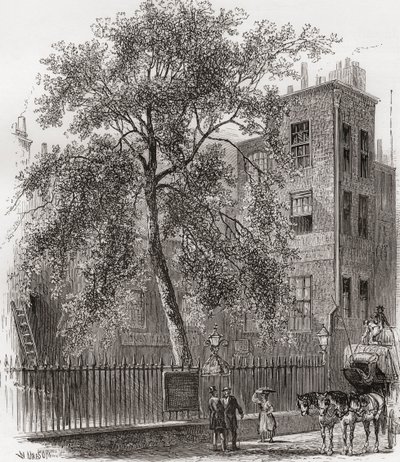 The Plane Tree, Wood Street, Cheapside, Londyn, Anglia w XIX wieku autorstwa Unknown artist
