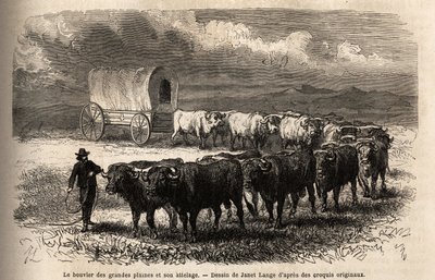 Ster i zaczep są na dużych równinach. Grawer dla ilustracji podróży na daleki zachód Ameryki, autorstwa M. L. Simonina, w 1867 r., opublikowany w „Le tour du monde, nouveau journal des voyages” pod redakcją Edouarda Chartona autorstwa Unknown artist